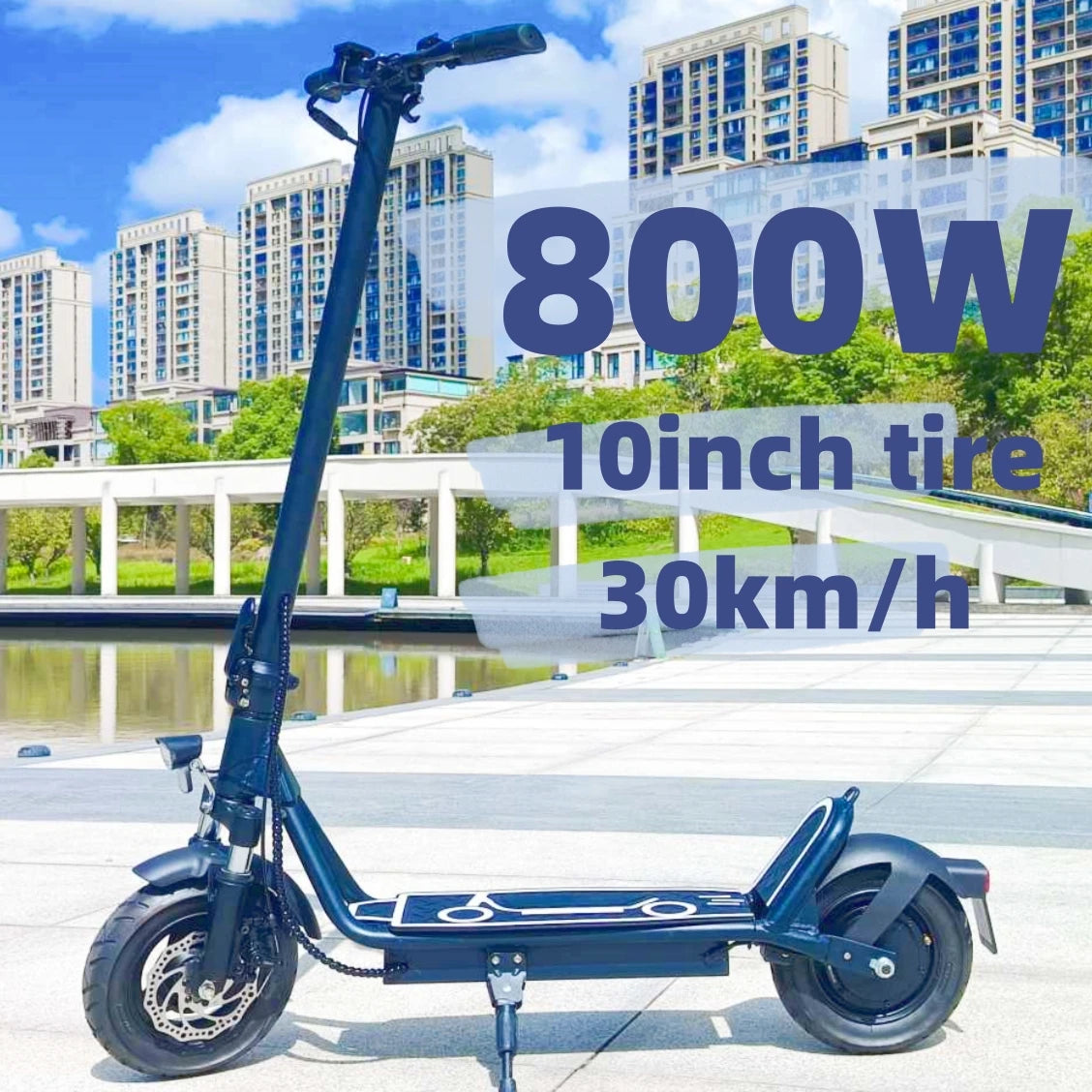 USA Adult 10inch Tubeless Tires 800W Electric Scooter