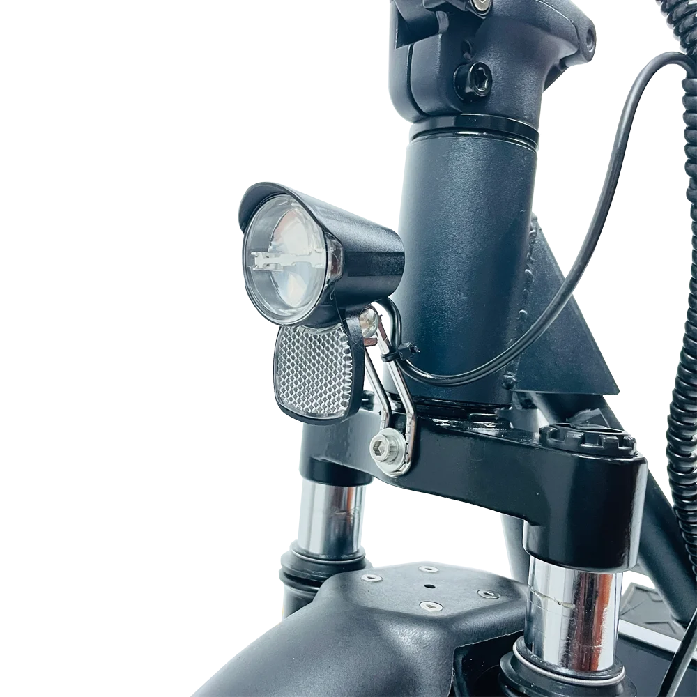 USA Adult 10inch Tubeless Tires 800W Electric Scooter