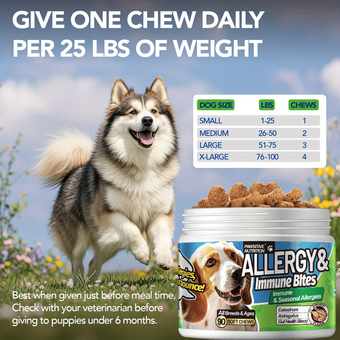 Pawsitive Nutrition Dog Probiotics Chews for Immune Support