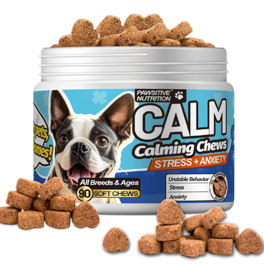 Pawsitive Nutrition Soft Calming Chews For Dogs 90 Count