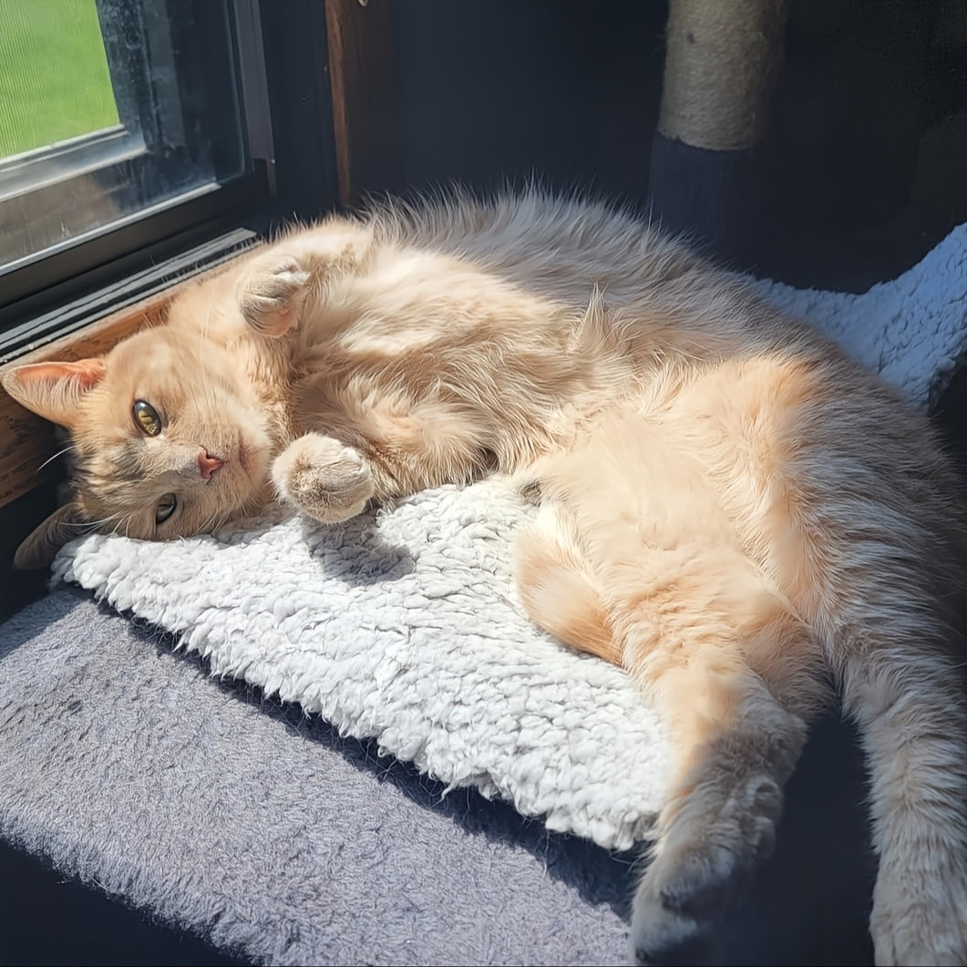 Warm Blanket for Dogs and Cats One Piece Autumn and Winter Polyester Fiber Machine Washable