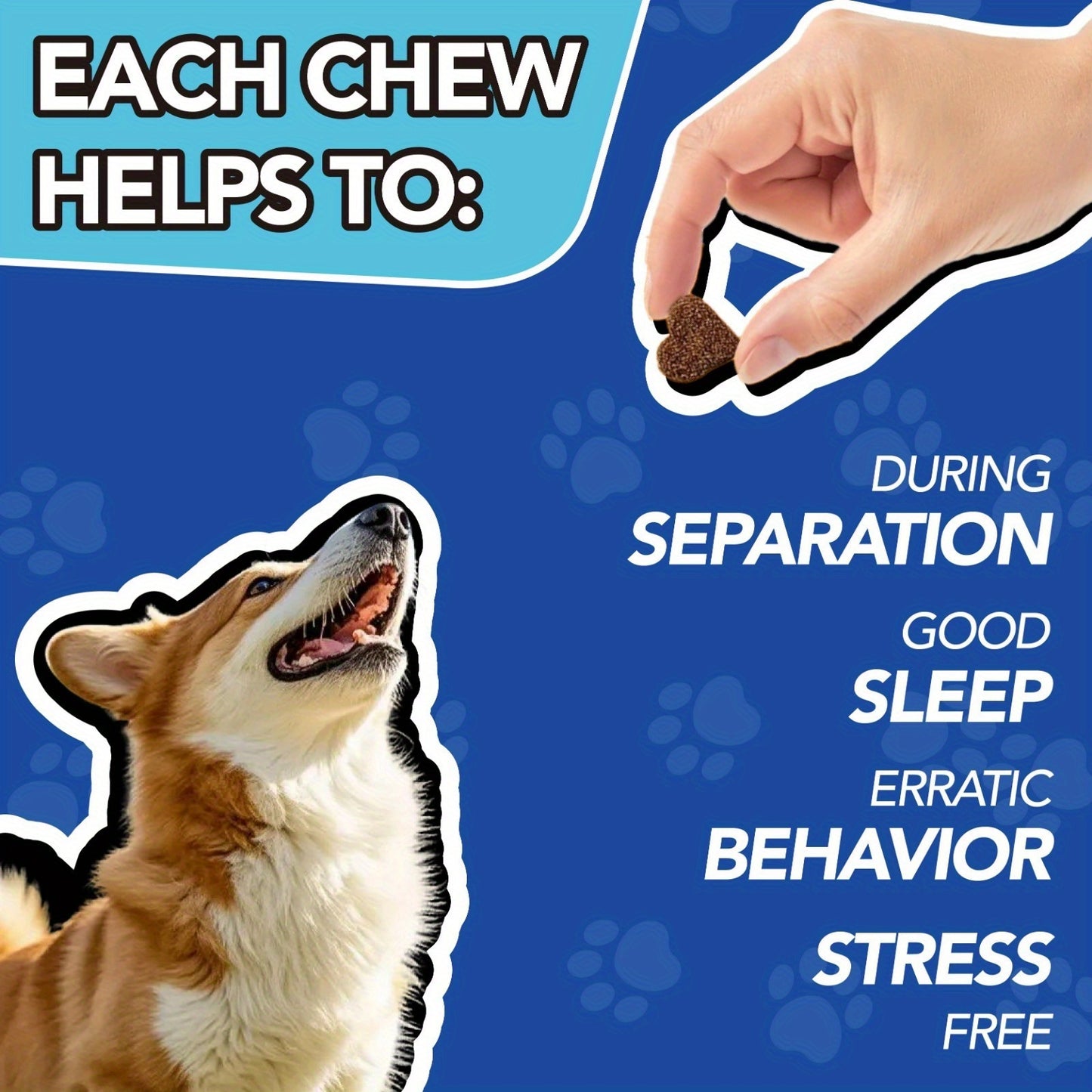 Pawsitive Nutrition Soft Calming Chews For Dogs 90 Count