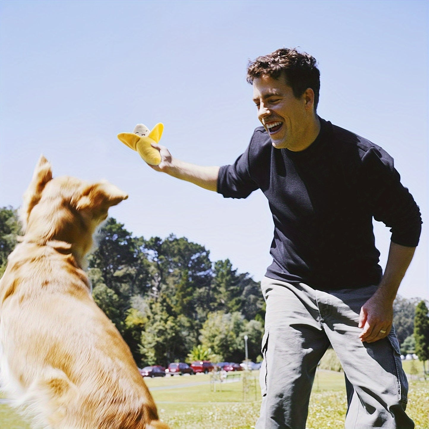 Nocciola 12 Pack Dog Squeaky Toys Plush Small Dog Toys with Squeakers for Small and Medium Size Dogs with Carrying Bag