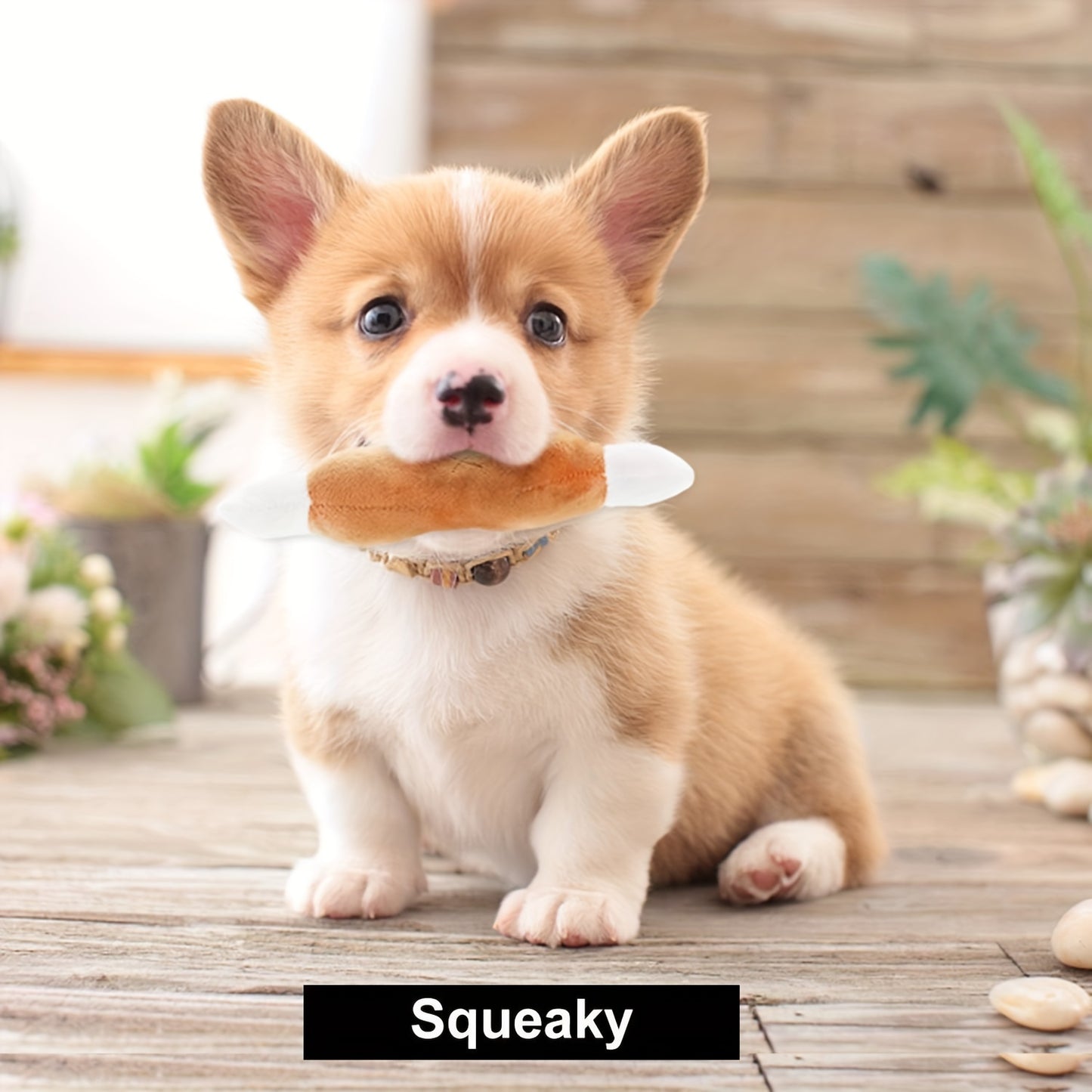 Nocciola 12 Pack Dog Squeaky Toys Plush Small Dog Toys with Squeakers for Small and Medium Size Dogs with Carrying Bag