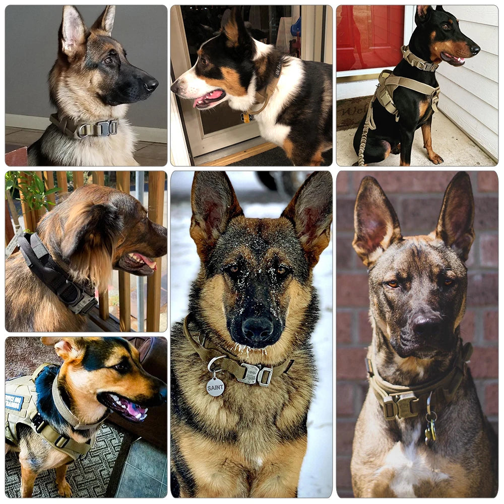 Dog Training Adjustable Tactical Dog Collar Leash Set