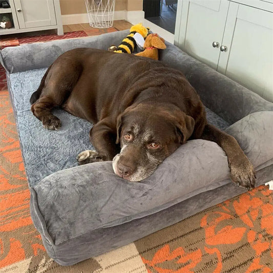 Extra Large Orthopedic Pet bed with Removable Washable Cover Soft Sponge Foam