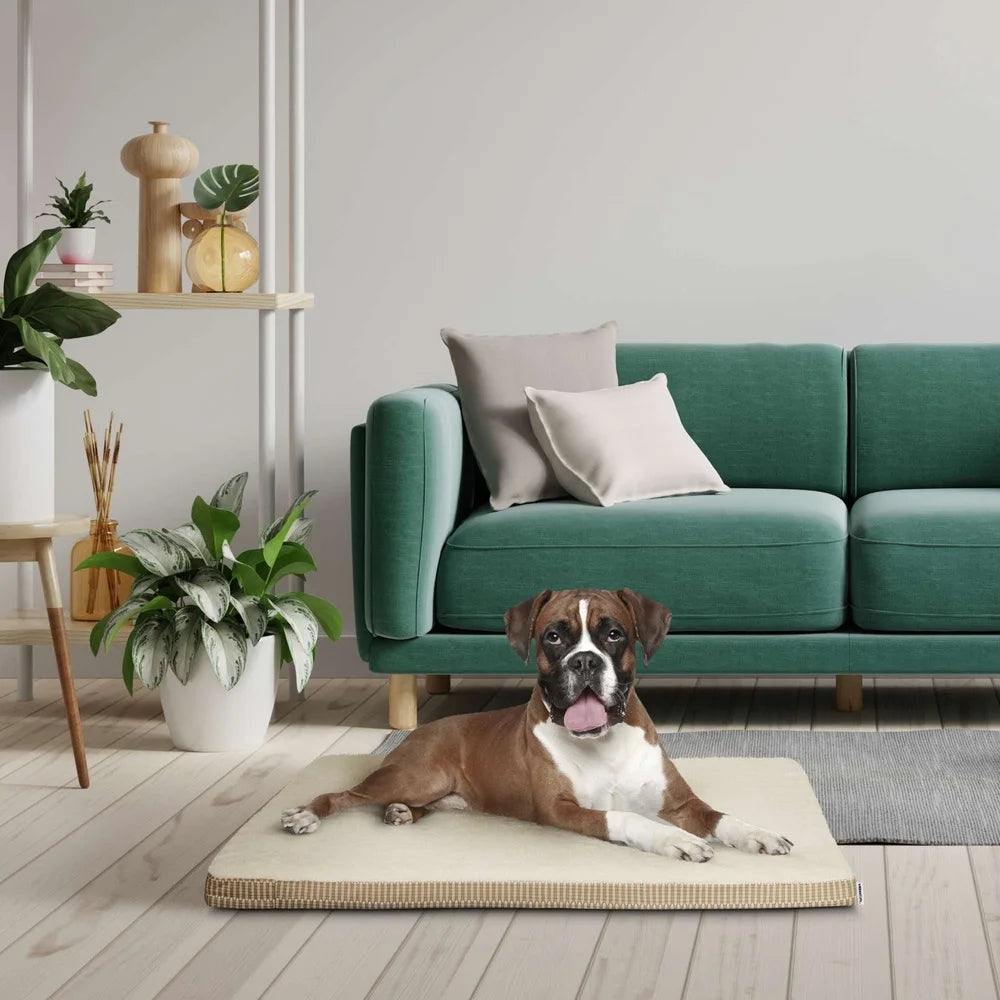 Large Orthopedic Dog Bed Firm Supportive Foam Removable Cover Cozy Sleep Area Durable Materials Easy Care Pets Up to 90lbs
