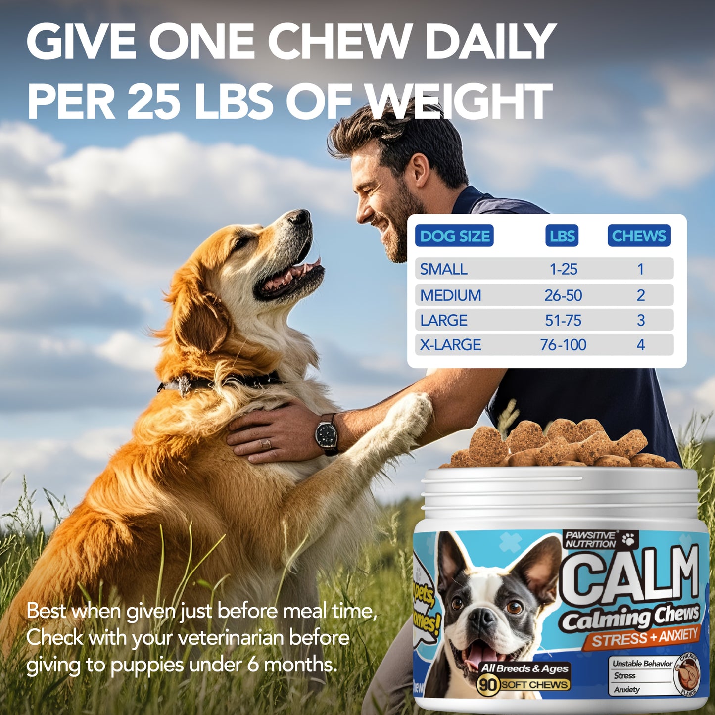 Pawsitive Nutrition Soft Calming Chews For Dogs 90 Count