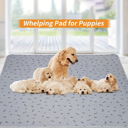 Washable Pee Pads for Dogs, Absorbent Non-Slip Puppy Pads